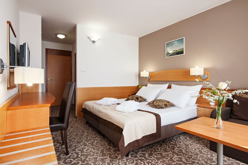 pokój 2-osobowy Standard, Hotel Termal, Terme 3000, Moravske Teplice, Słowenia, CK GEOVITA